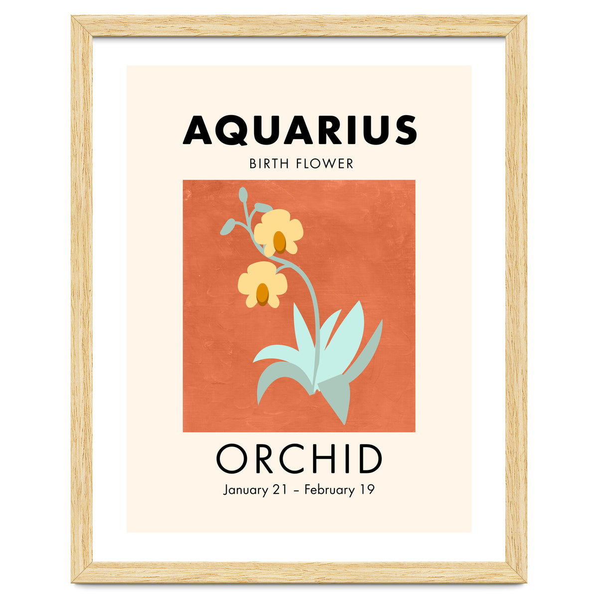 Aquarius Birth Flower Orchid
