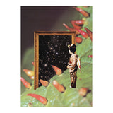 Cosmology (Print Only) thumbnail