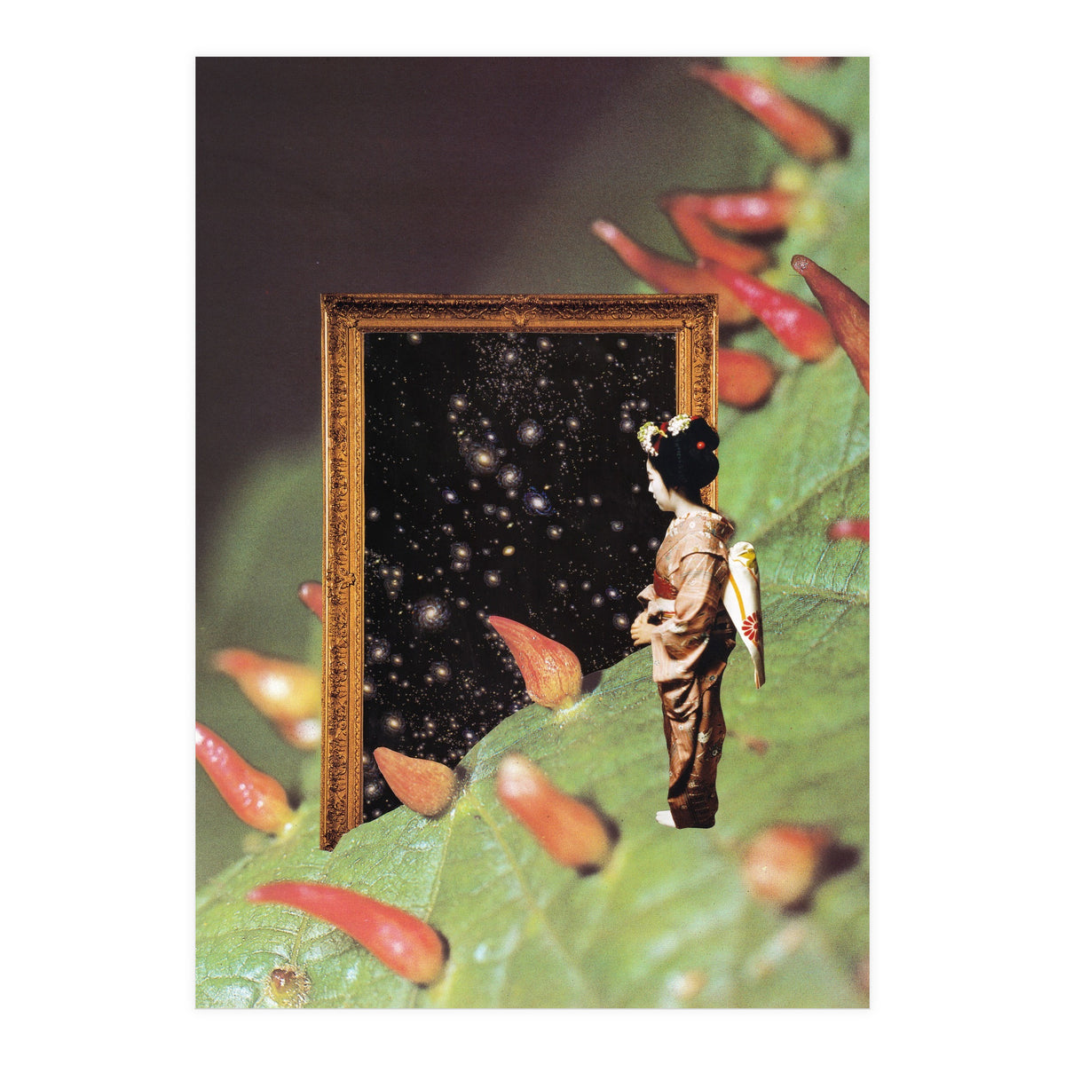 Cosmology (Print Only)