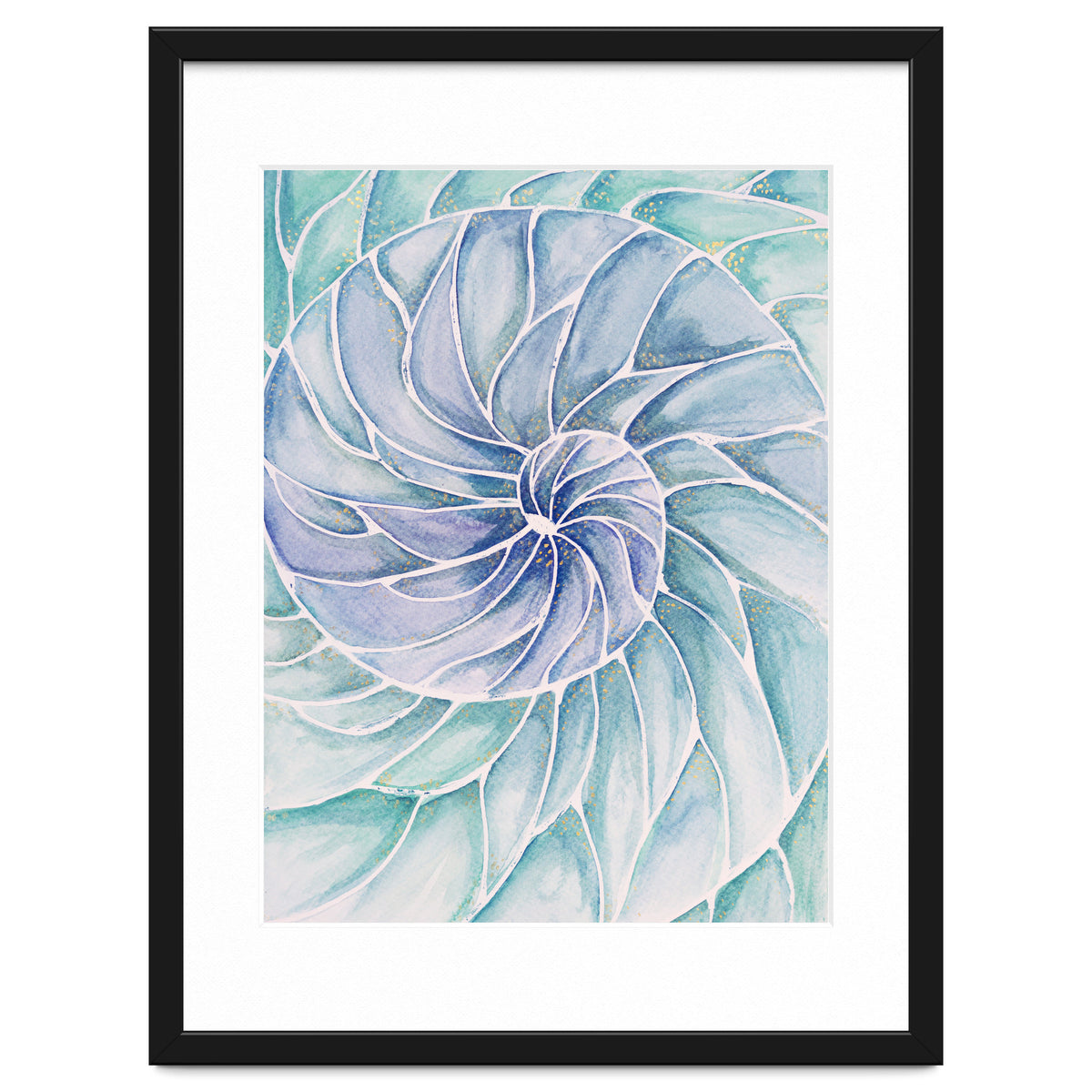 The inside of a shell