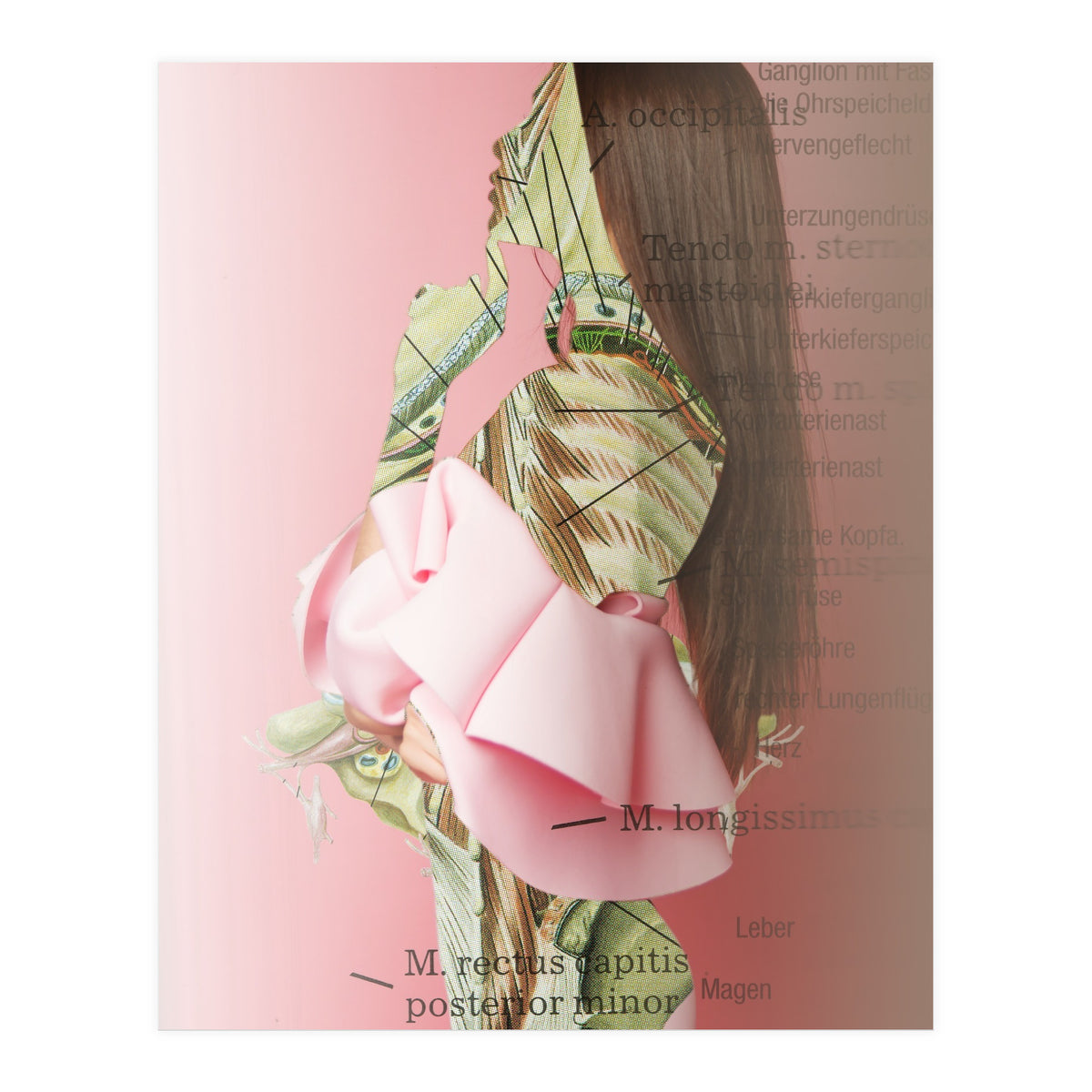 Crazy Woman 201 (Print Only)