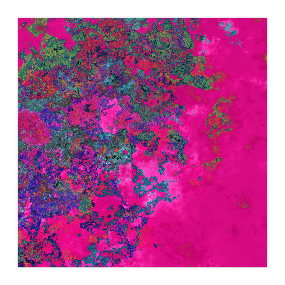 Fuchsia Dream (Print Only)