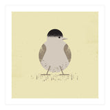 Blackcap 2 (Print Only) thumbnail