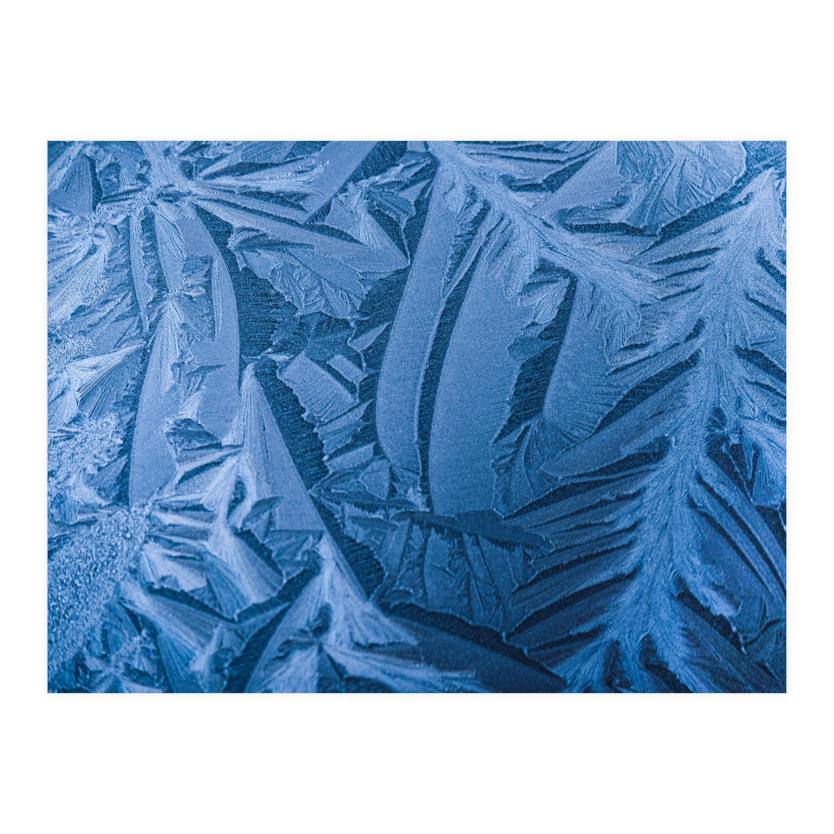 Ice Pattern Number 1 (Print Only)