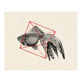 Fish In Geometrics III (Print Only) thumbnail