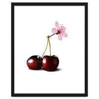 Cherry Blossom