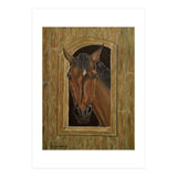 Inquisitive (Print Only) thumbnail
