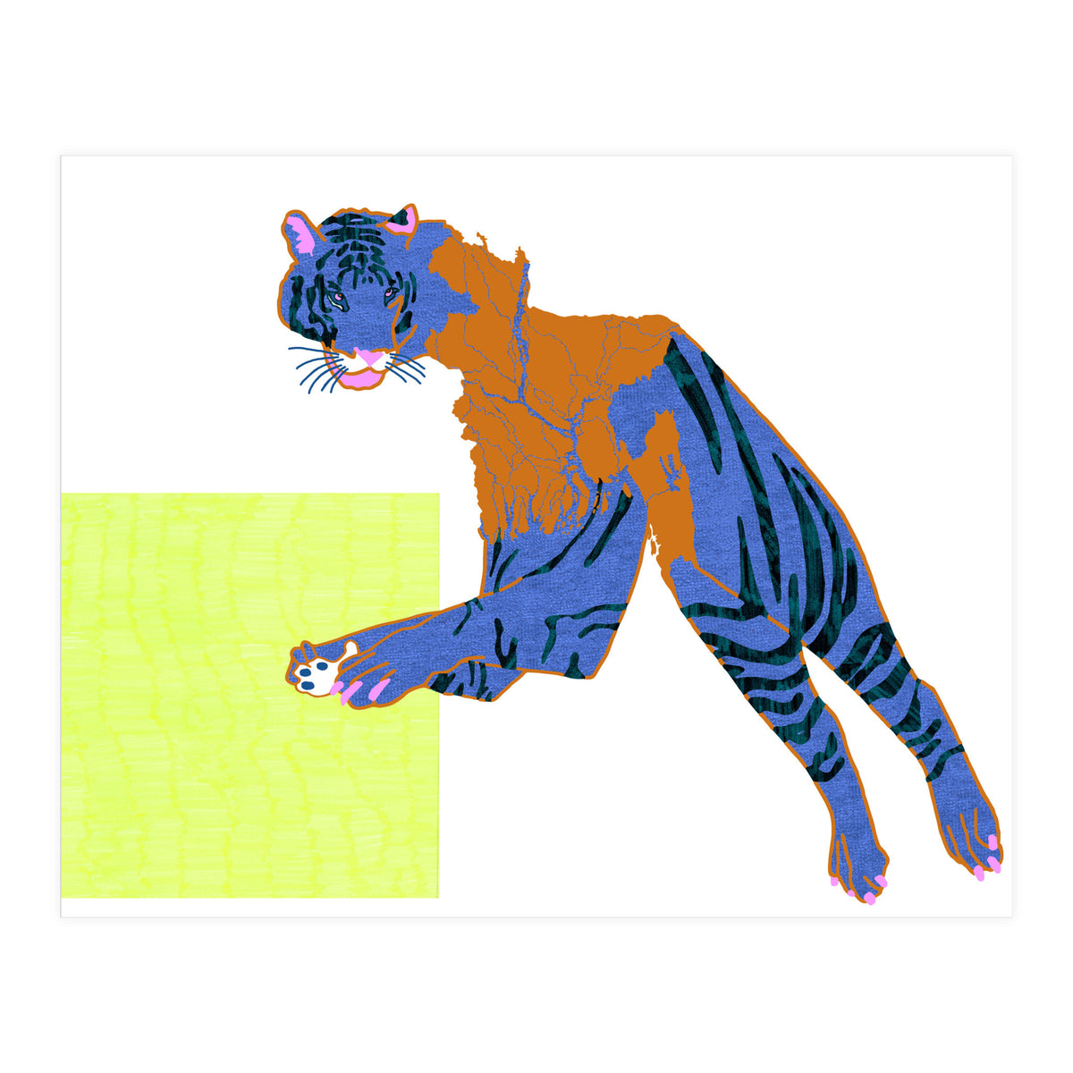 Bangladeshi Bengal Tiger  (Print Only)