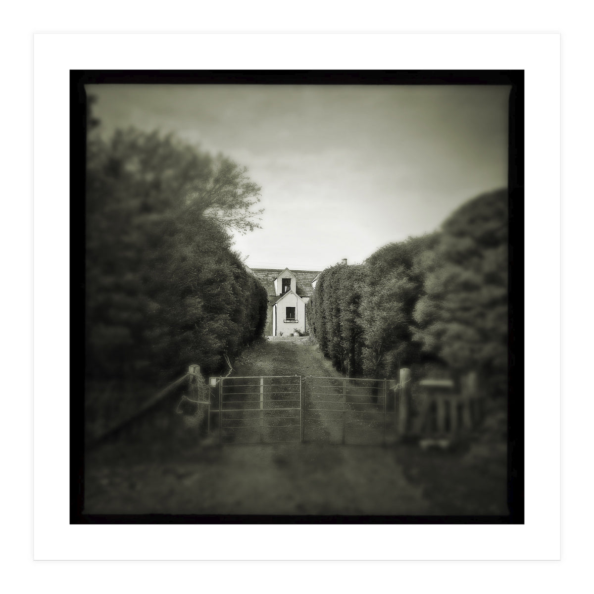 Waterstein 3 (Print Only)