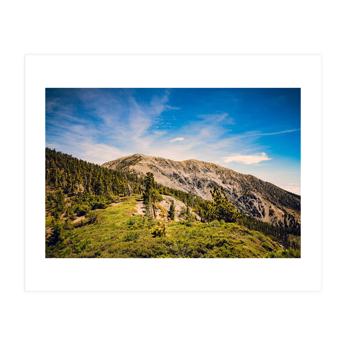 Mt Baldy (Print Only)
