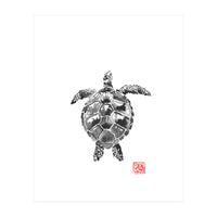 Tartoise (Print Only)
