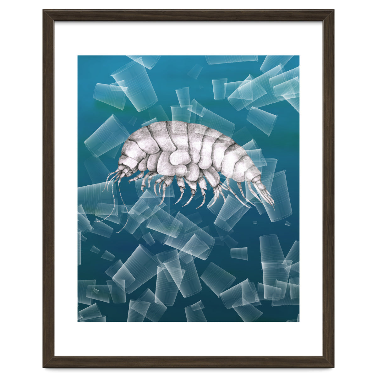 Eurythenes Plasticus