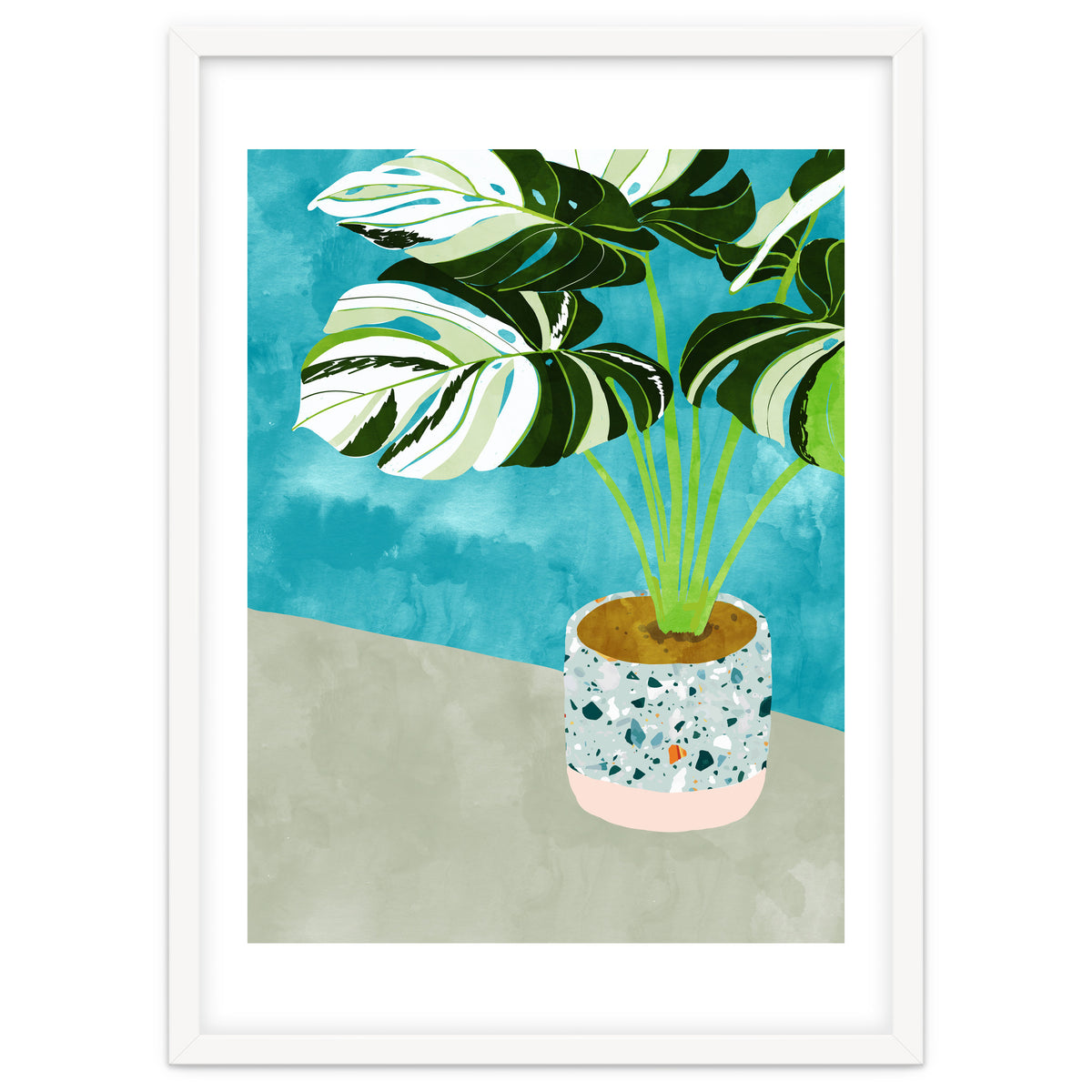 Variegated Monstera