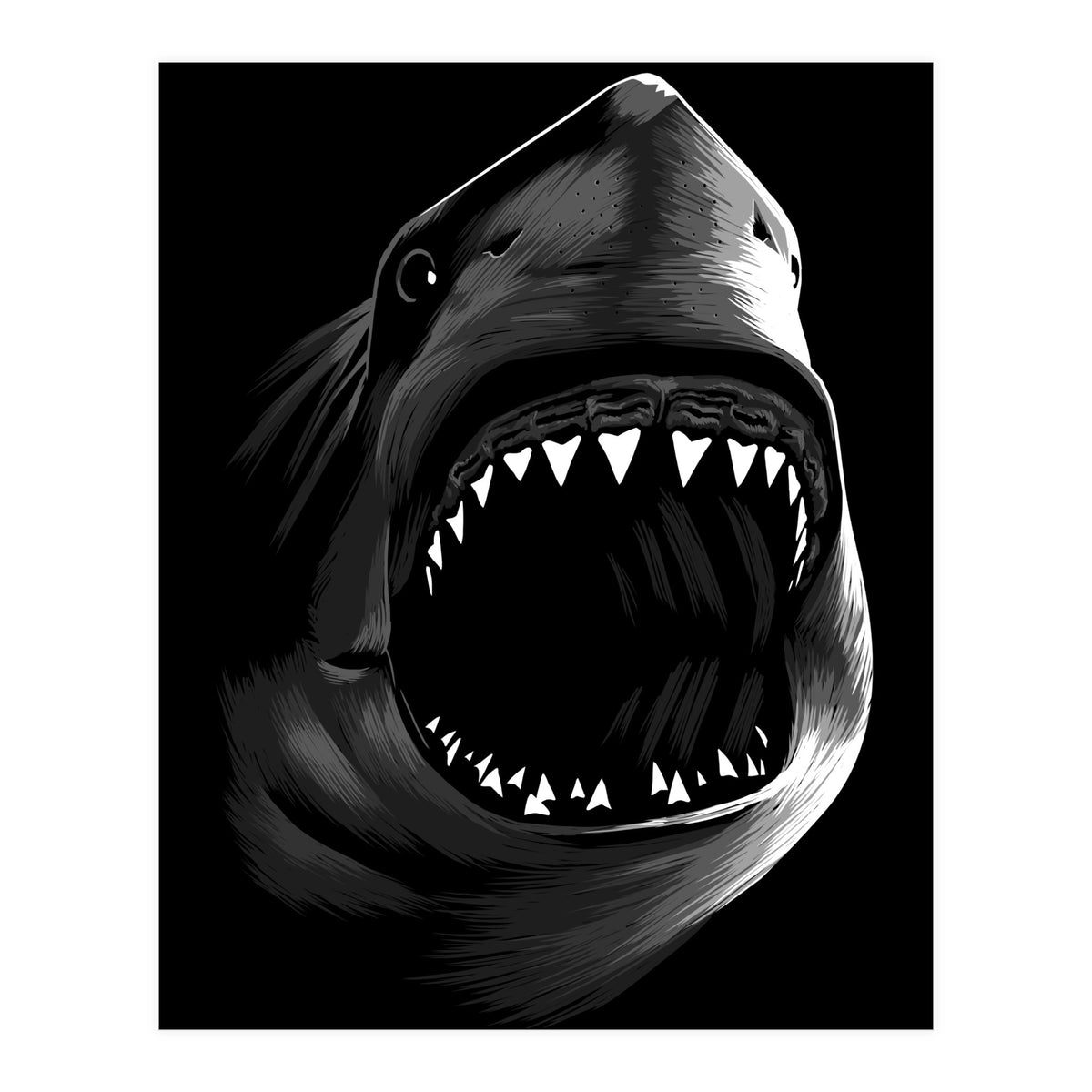 Megalodon (Print Only)