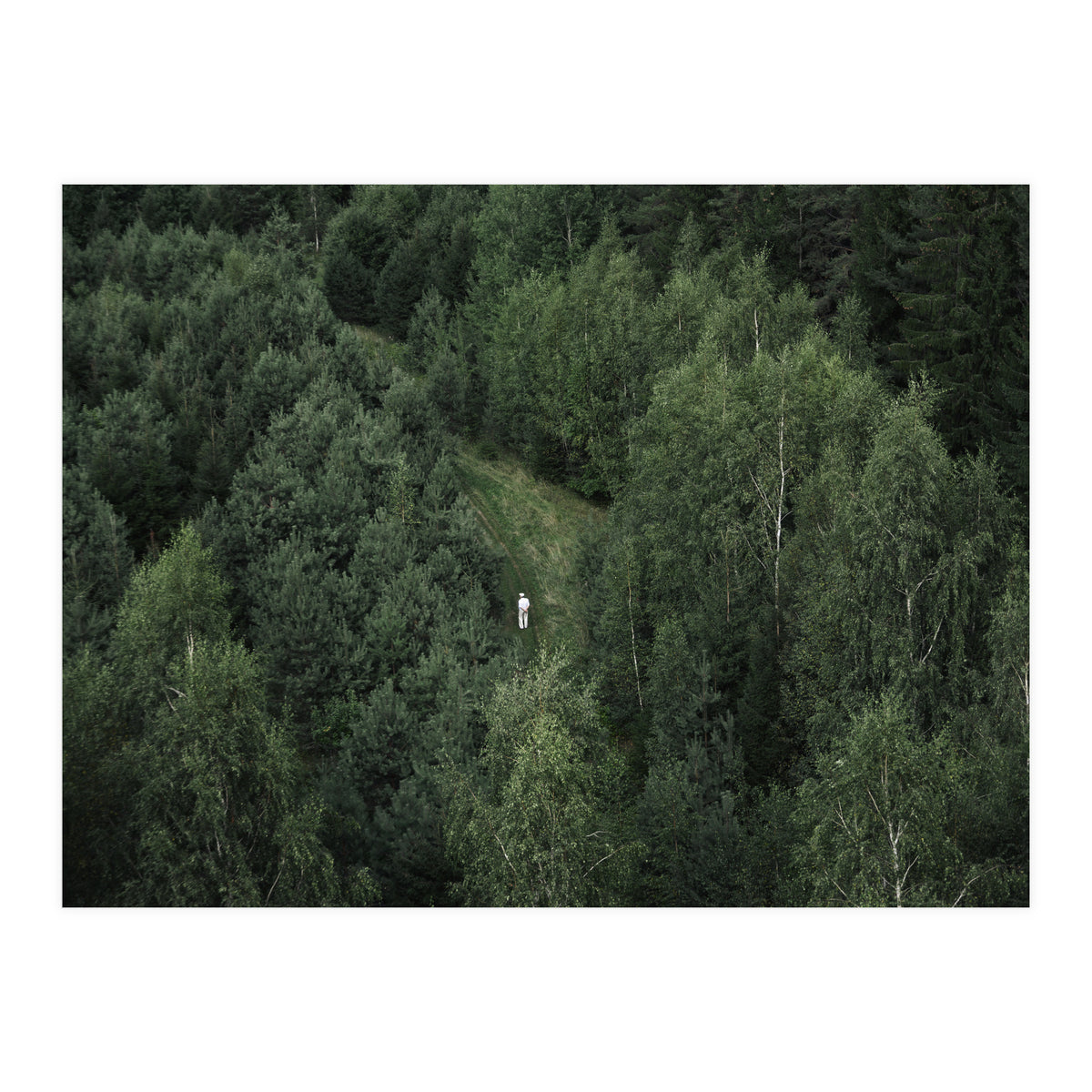 What's the Date Today? (Print Only)