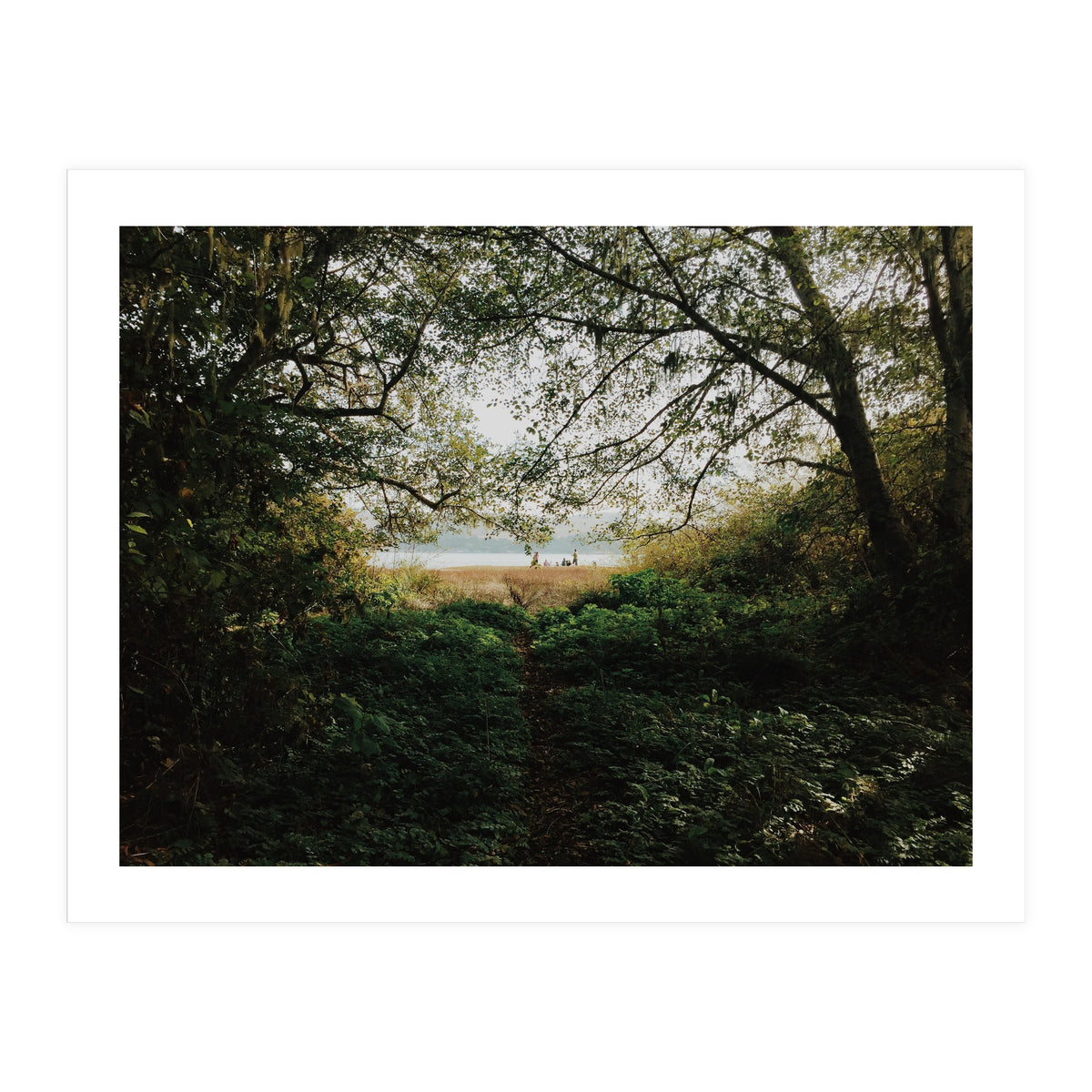 Tomales Bay (Print Only)
