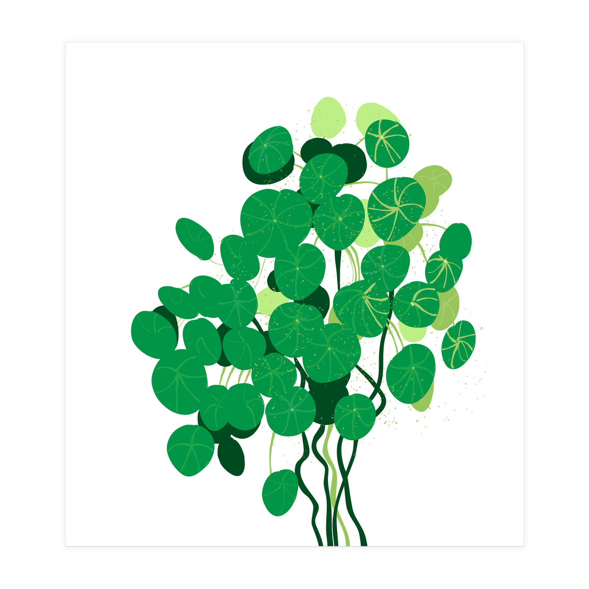 Pilea (Print Only)