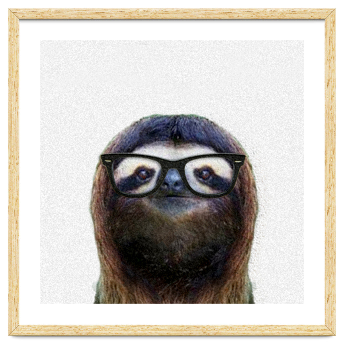 Geek Sloth