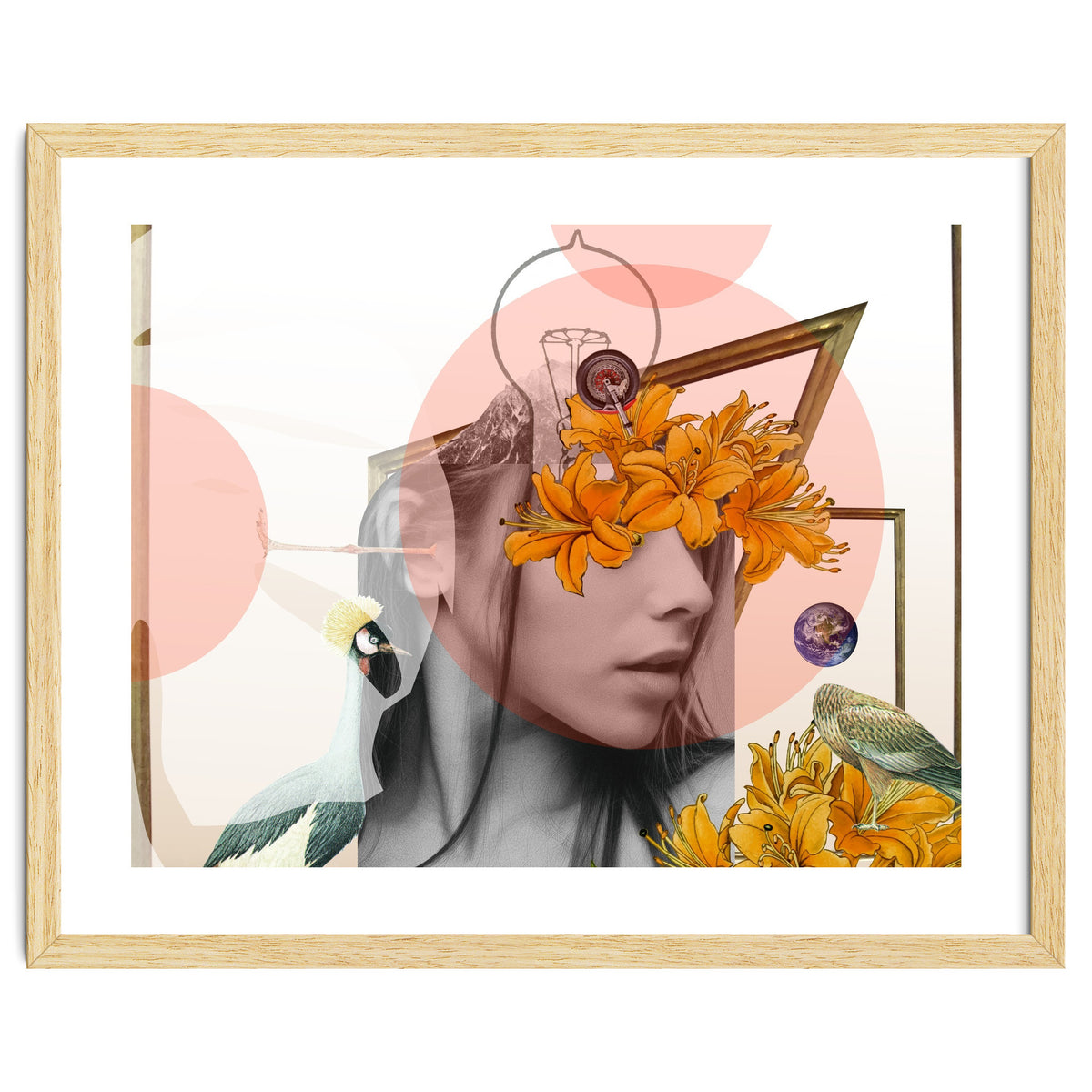 Dreamland Division · D