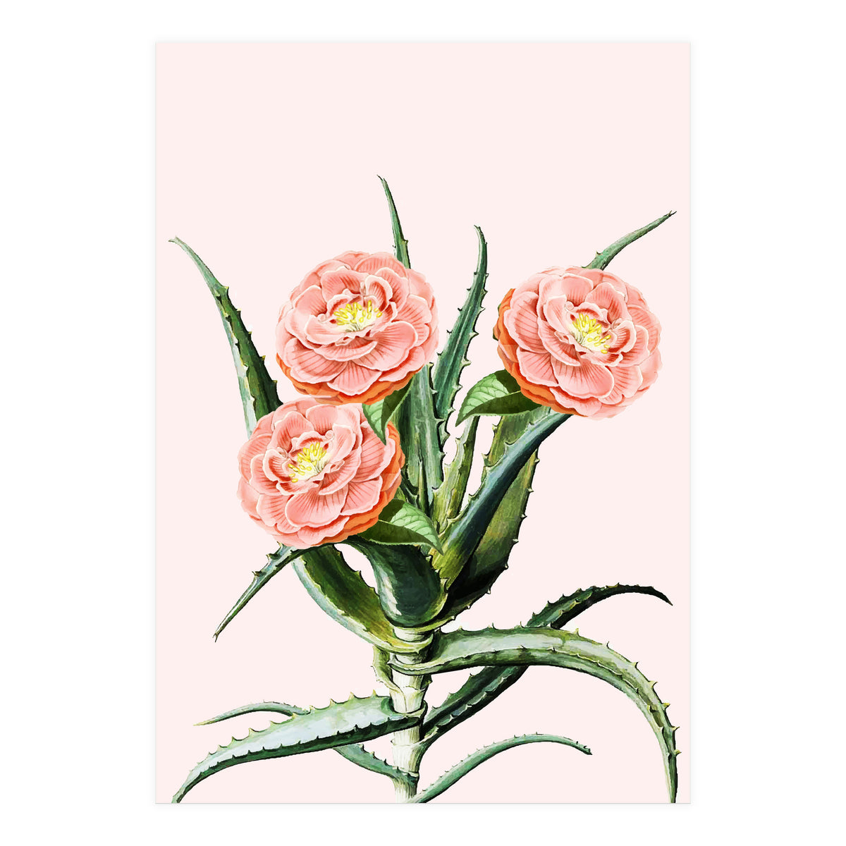 Blush Cactus V2 (Print Only)