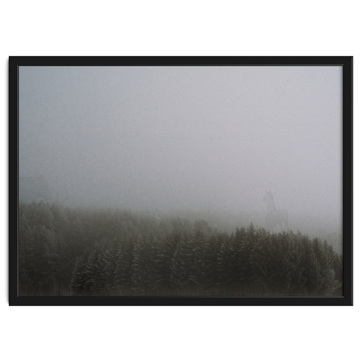 What the Hell did I just See?