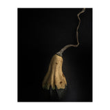 Gourds No 12 Color Version (Print Only) thumbnail