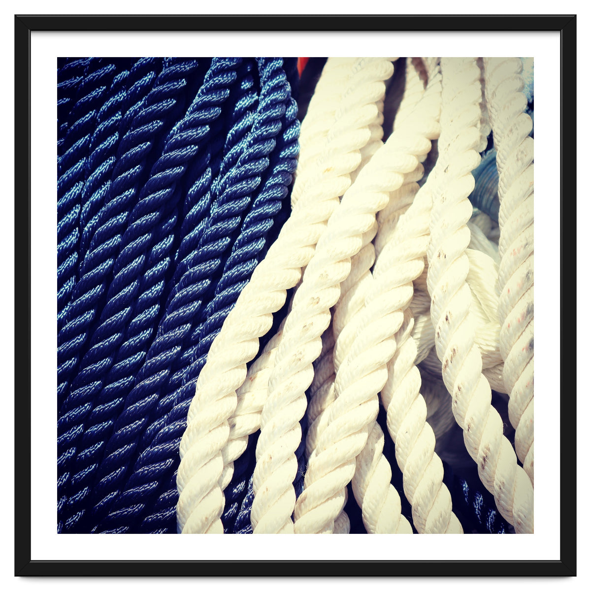 Blue and white fishing rope