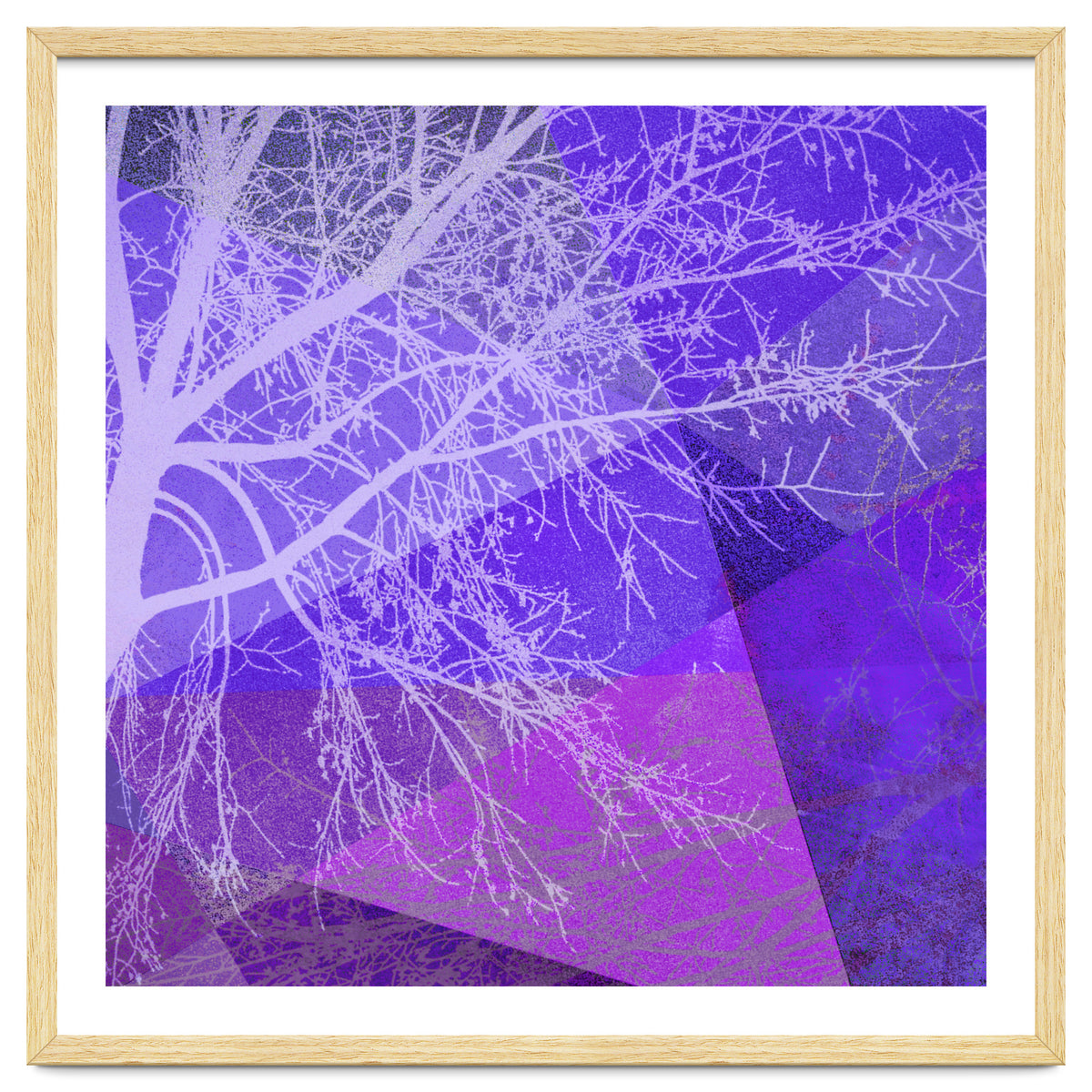 P19-D2 Trees and Triangles