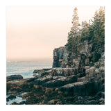 Saltwater Glow (Print Only) thumbnail