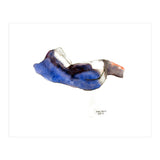 Untitled #9 - Lying nude (Print Only) thumbnail