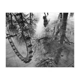 London Eye  (Print Only) thumbnail