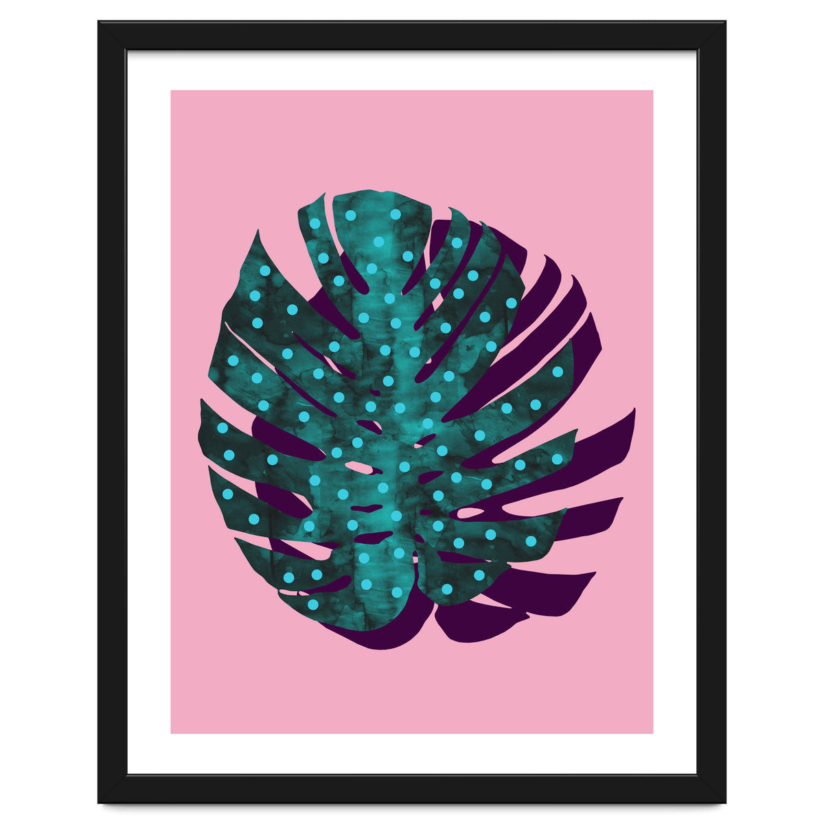 Monstera Deliciosa II