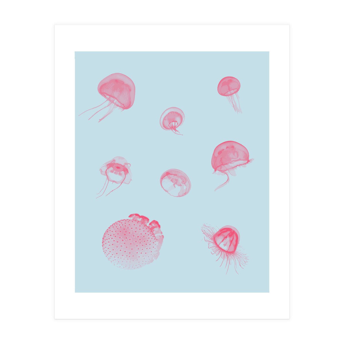 Jellyfish (Print Only)