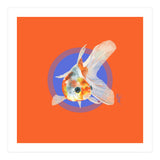 Koi Carp (Print Only) thumbnail