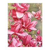 Magnolia 5 (Print Only) thumbnail