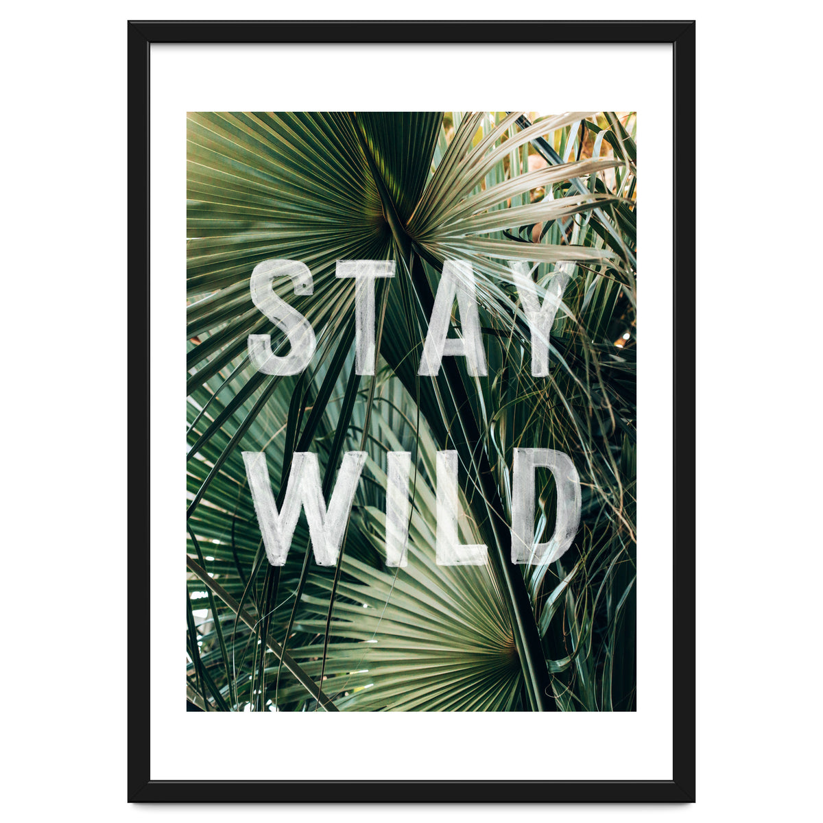 Stay Wild