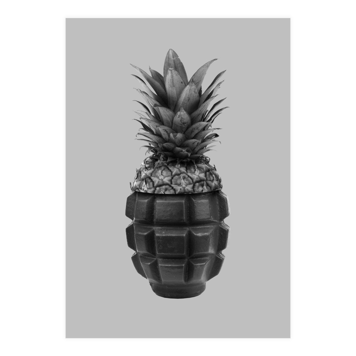 Grenapple (Print Only)