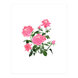 Rose V2 Art Print (Print Only) thumbnail