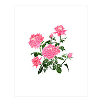Rose V2 Art Print (Print Only)