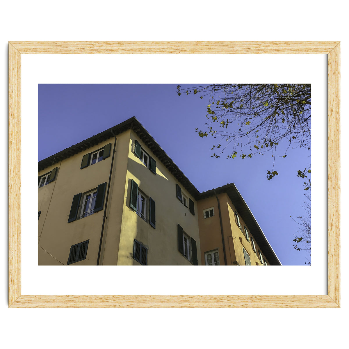 Windows From Tuscany 2