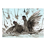 Fighting coots (Print Only) thumbnail