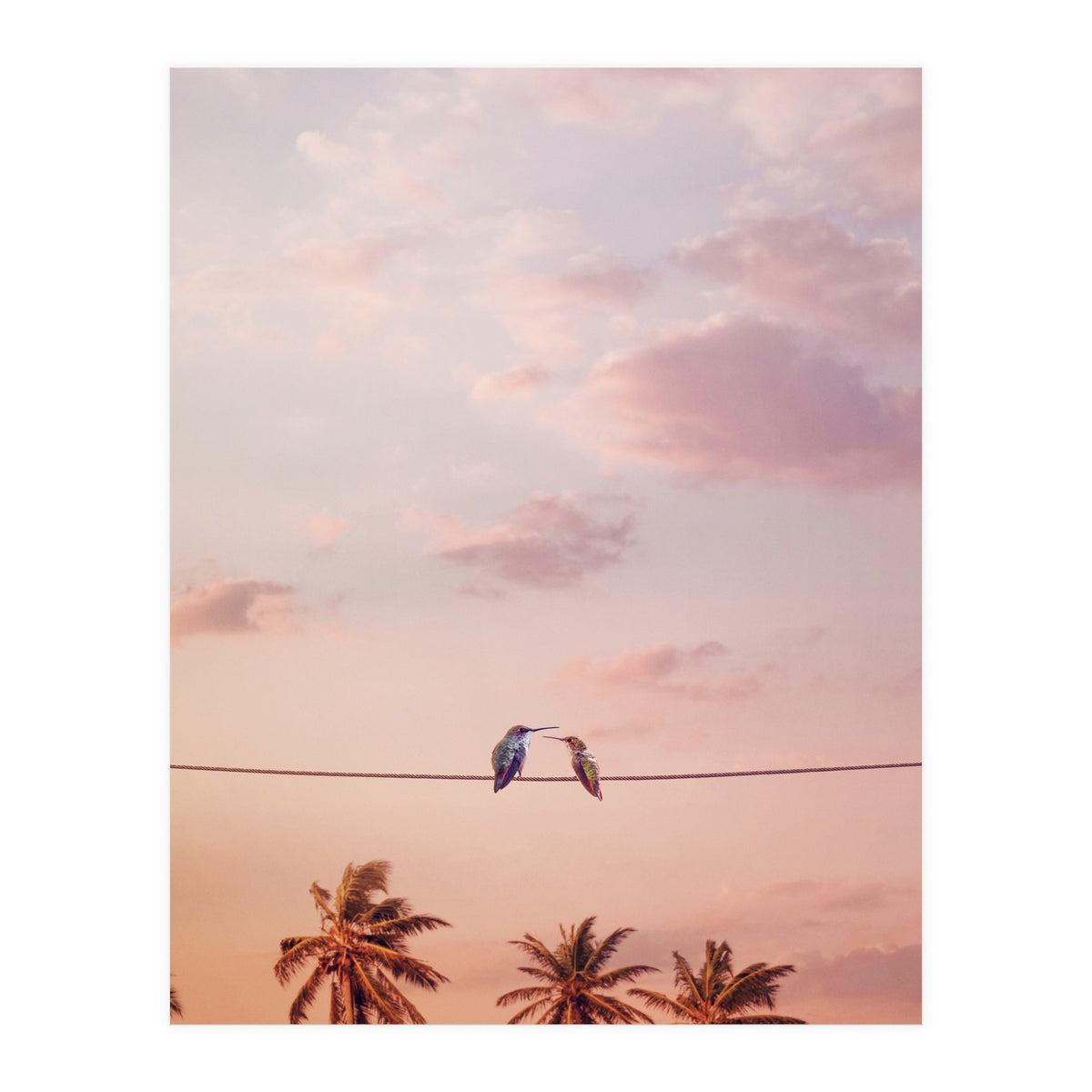 Hummingbirds In Love (Print Only)