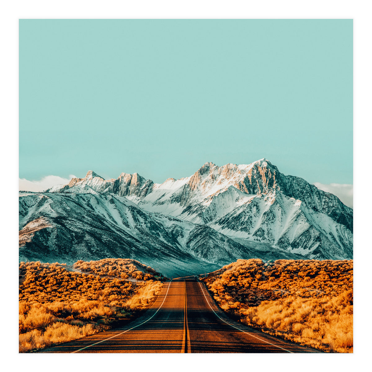 The Road Less Traveled (Print Only)