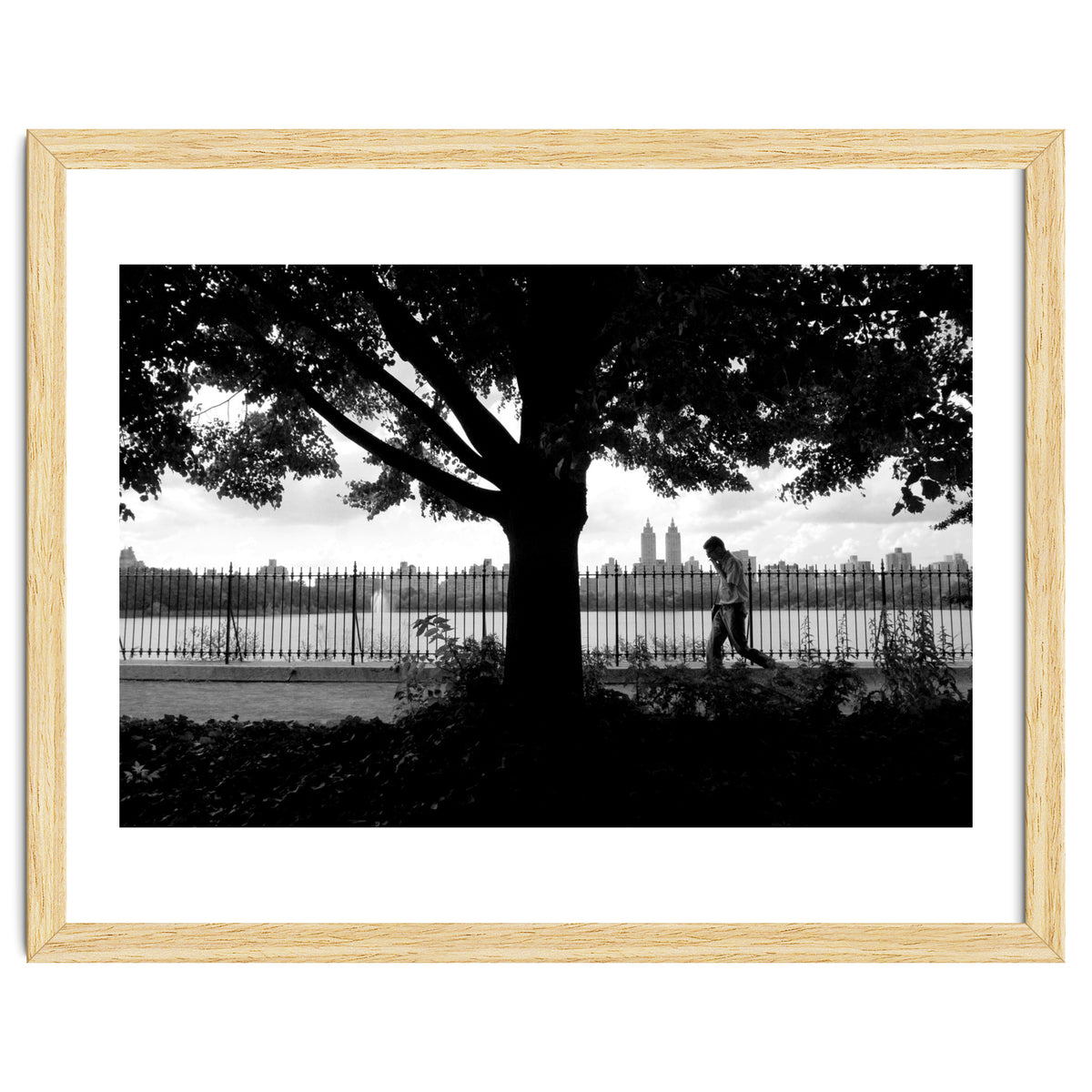 Central Park, New York City