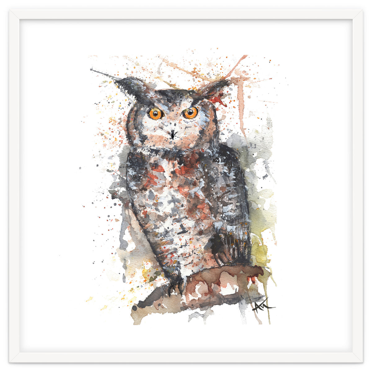 Owl - Wildlife Collection