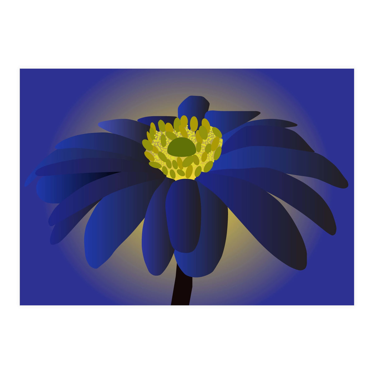 Anemone Blanda Flower Art (Print Only)