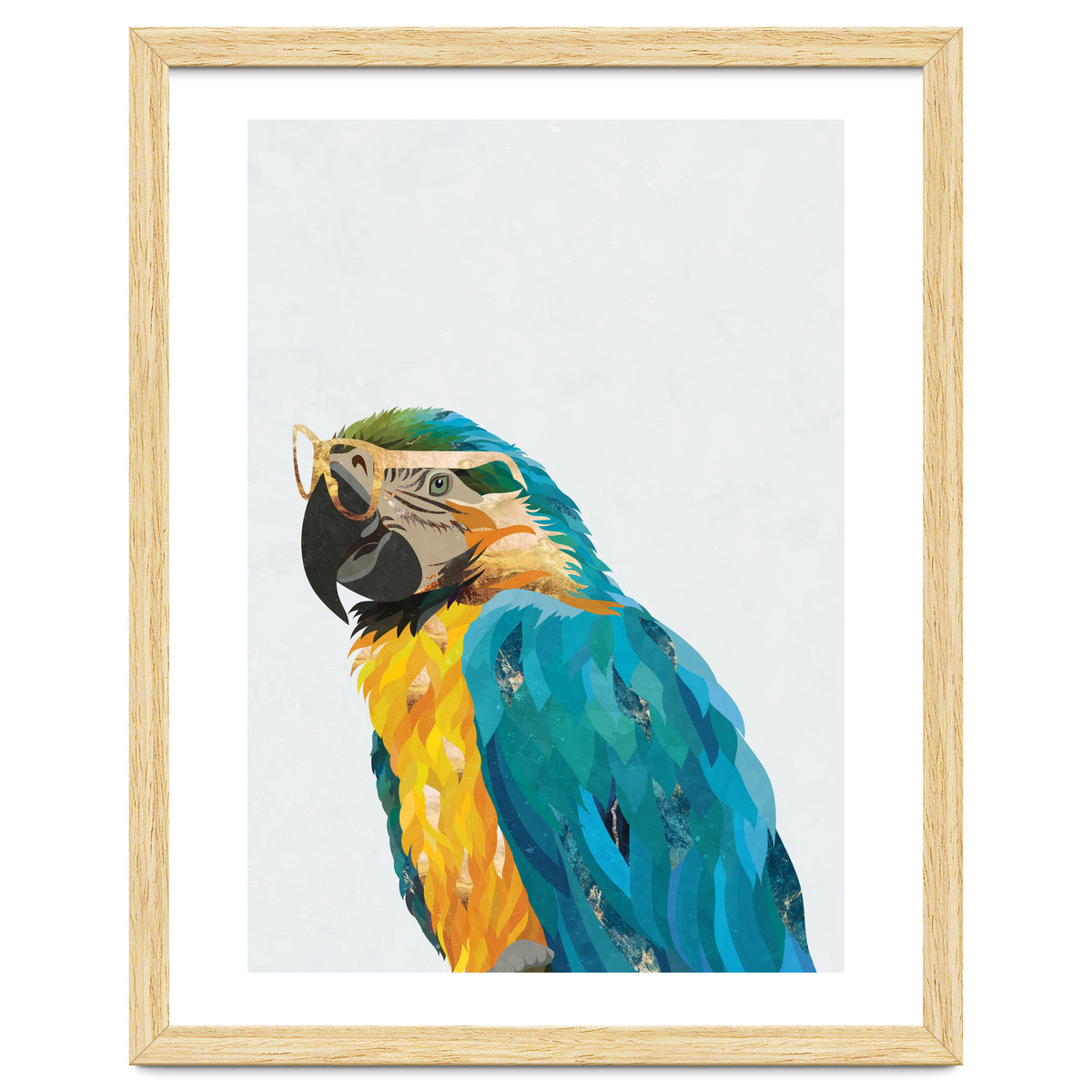 Macaw Portrait wearing gold glasses