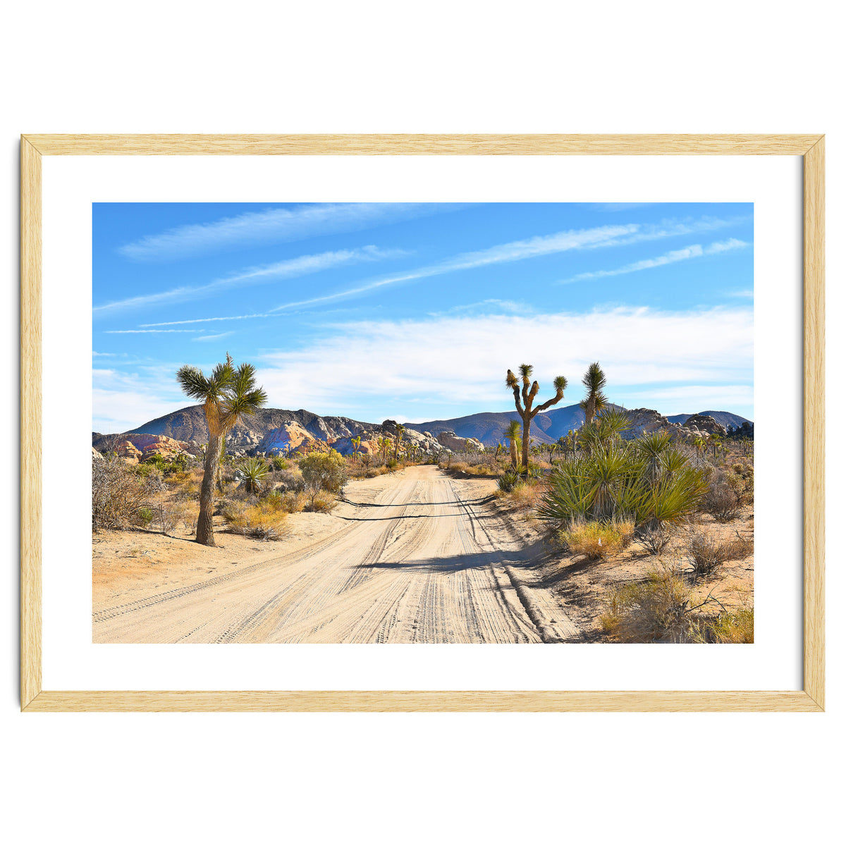 Joshua Tree II