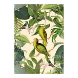 Green Jungle Parakeets (Print Only) thumbnail