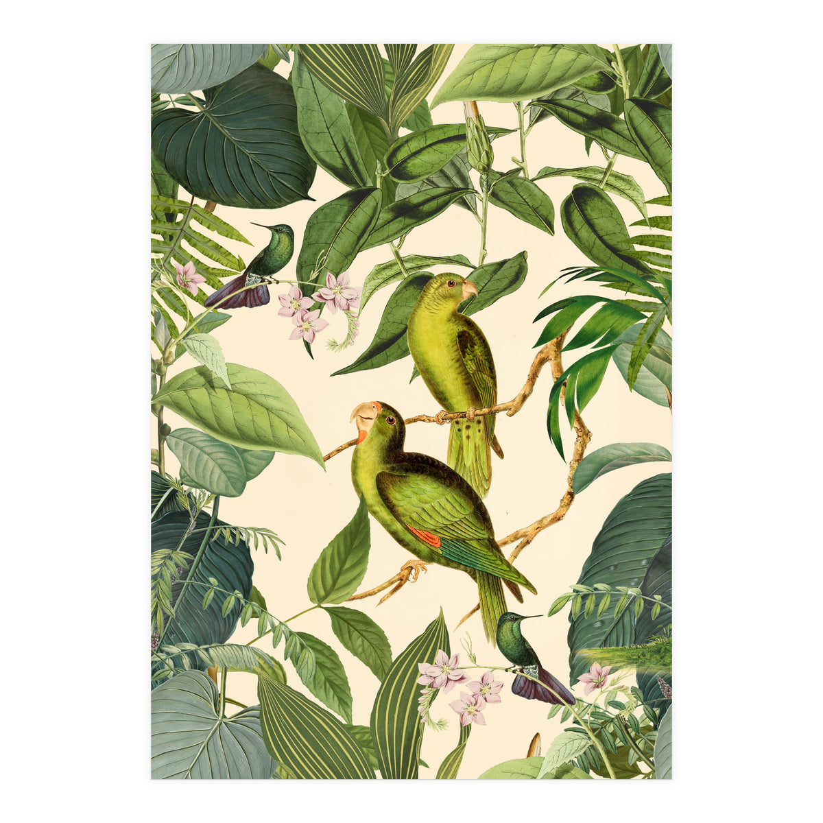 Green Jungle Parakeets (Print Only)
